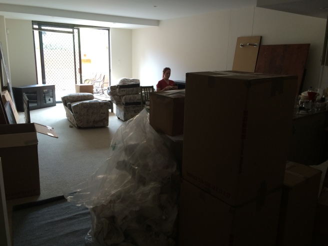 No character...but lots of cardboard, on our move-in weekend.