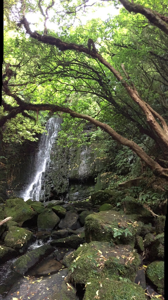 Mate Falls in the Catlins