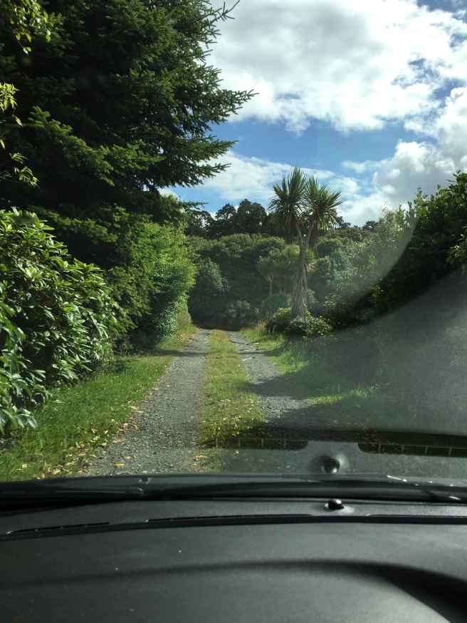 The road less travelled in the Catlins