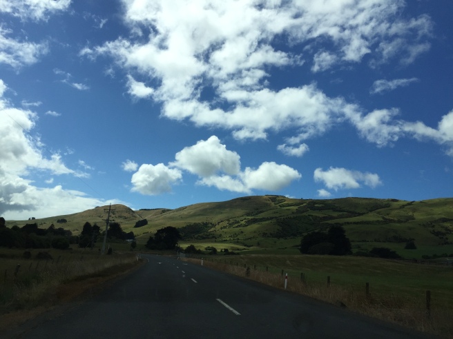 A random drive on a back country road - Catlins, NZ
