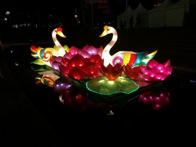 Paper lanterns at night in Tumbalong Park.