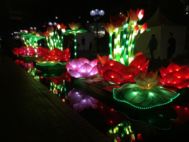 Paper lanterns lit up at night in Tumbalong Park.